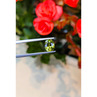 1.90 Ct. Yellowish Green Sapphire from Thailand Life Style