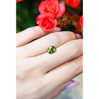 1.90 Ct. Yellowish Green Sapphire from Thailand Life Style