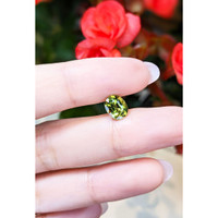 1.90 Ct. Yellowish Green Sapphire from Thailand Life Style