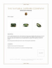 4.07 Ct. Green Sapphire from Ceylon (Sri Lanka) Appraisal