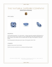 1.33 Ct. Blue Sapphire from Ceylon (Sri Lanka) Appraisal