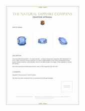 1.10 Ct. Blue Sapphire from Ceylon (Sri Lanka) Appraisal
