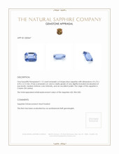 1.12 Ct. Blue Sapphire from Ceylon (Sri Lanka) Appraisal