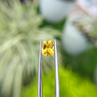 1.53 Ct. Yellow Sapphire from Ceylon (Sri Lanka) Life Style