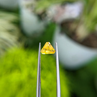 1.01 Ct. Yellow Sapphire from Ceylon (Sri Lanka) Life Style