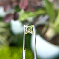 1.64 Ct. Greenish Yellow Sapphire from Madagascar Life Style