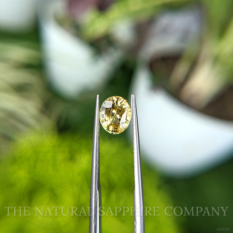 1.78 Ct. Yellow Sapphire from Ceylon (Sri Lanka)