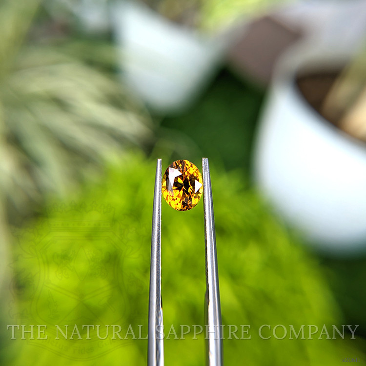1.19 Ct. Yellowish Orange Sapphire from Ceylon (Sri Lanka)