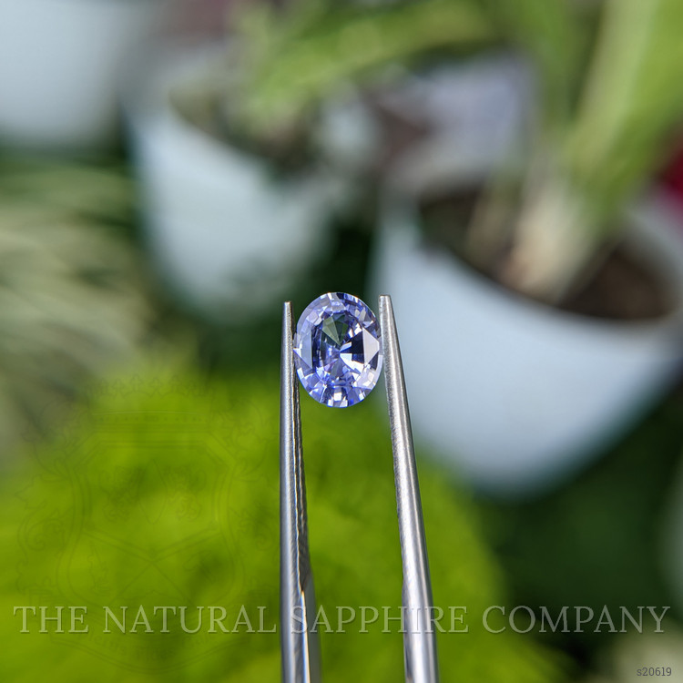 1.15 Ct. Violet Sapphire from Ceylon (Sri Lanka)