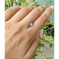 2.01 Ct. Blue Sapphire from Ceylon (Sri Lanka) Life Style