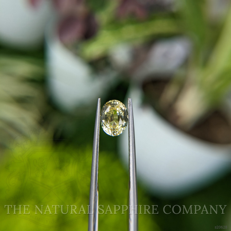 1.59 Ct. Yellow Sapphire from Ceylon (Sri Lanka)