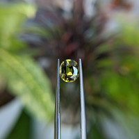 1.98 Ct. Yellowish Green Sapphire from Tanzania Life Style