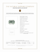 Jewelry Scan Report