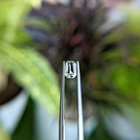 0.76 Ct. Sapphire from Tanzania Life Style