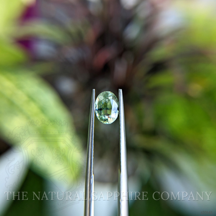 1.03 Ct. Bi Color / Parti Sapphire from Tanzania