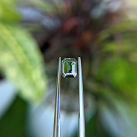 0.78 Ct. Sapphire from Tanzania Life Style