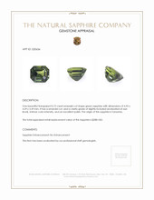 0.72 Ct. Green Sapphire from Tanzania Appraisal