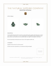 0.87 Ct. Bluish Green Sapphire from Montana Appraisal