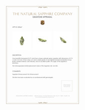 0.97 Ct. Yellowish Green Sapphire from Montana Appraisal