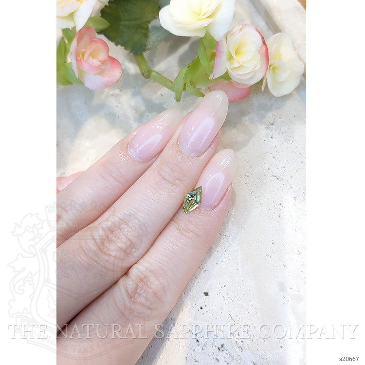 0.97 Ct. Yellowish Green Sapphire from Montana