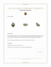 0.97 Ct. Yellowish Brown Sapphire from Montana Appraisal