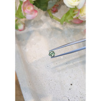 1.00 Ct. Green Sapphire from Montana Life Style