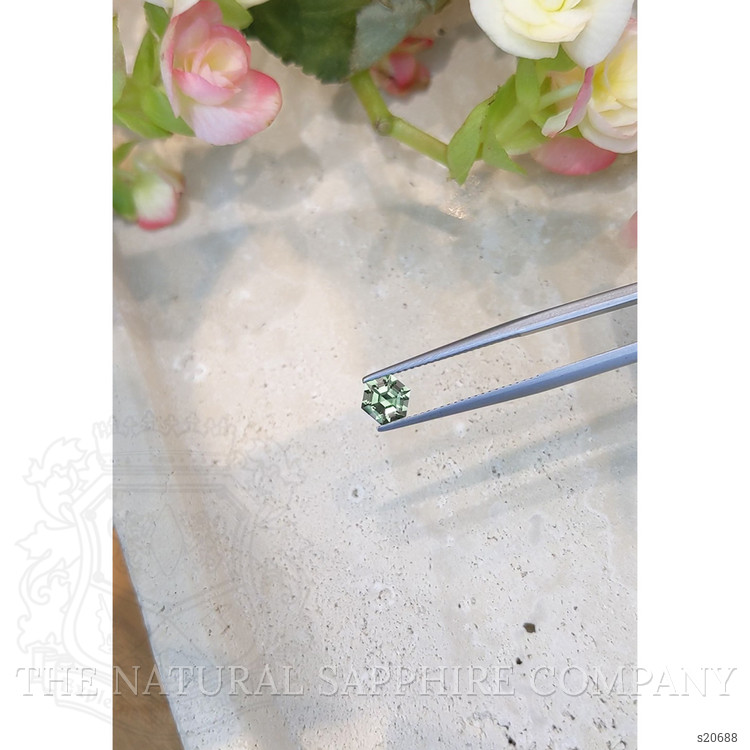 1.00 Ct. Green Sapphire from Montana