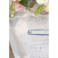 1.01 Ct. Green Sapphire from Montana Life Style