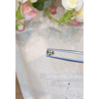 1.05 Ct. Yellowish Green Sapphire from Montana Life Style
