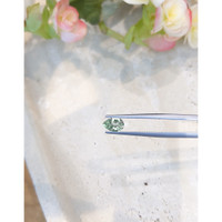 1.05 Ct. Green Sapphire from Montana Life Style