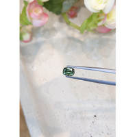 1.07 Ct. Green Sapphire from Montana Life Style
