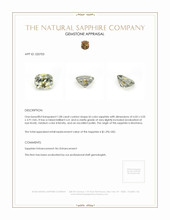 1.08 Ct. Bi Color Sapphire from Montana Appraisal