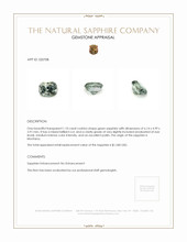 1.10 Ct. Green Sapphire from Montana Appraisal