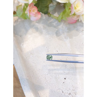 1.10 Ct. Green Sapphire from Montana Life Style