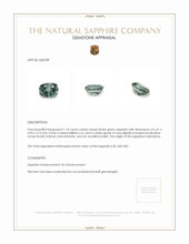 1.10 Ct. Bluish Green Sapphire from Montana Appraisal