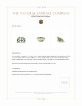 1.15 Ct. Yellowish Green Sapphire from Montana Appraisal