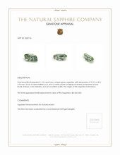 Jewelry Appraisal