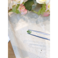 0.90 Ct. Sapphire from Montana Life Style
