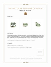 1.00 Ct. Green Sapphire from Montana Appraisal