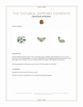 Jewelry Appraisal
