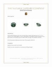 Jewelry Appraisal