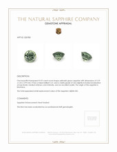 0.92 Ct. Yellowish Green Sapphire from Montana Appraisal