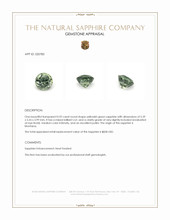 0.92 Ct. Yellowish Green Sapphire from Montana Appraisal