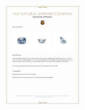 0.94 Ct. Blue Sapphire from Montana Appraisal