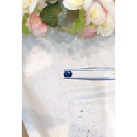 0.94 Ct. Blue Sapphire from Montana Life Style