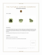 0.97 Ct. Yellowish Green Sapphire from Montana Appraisal