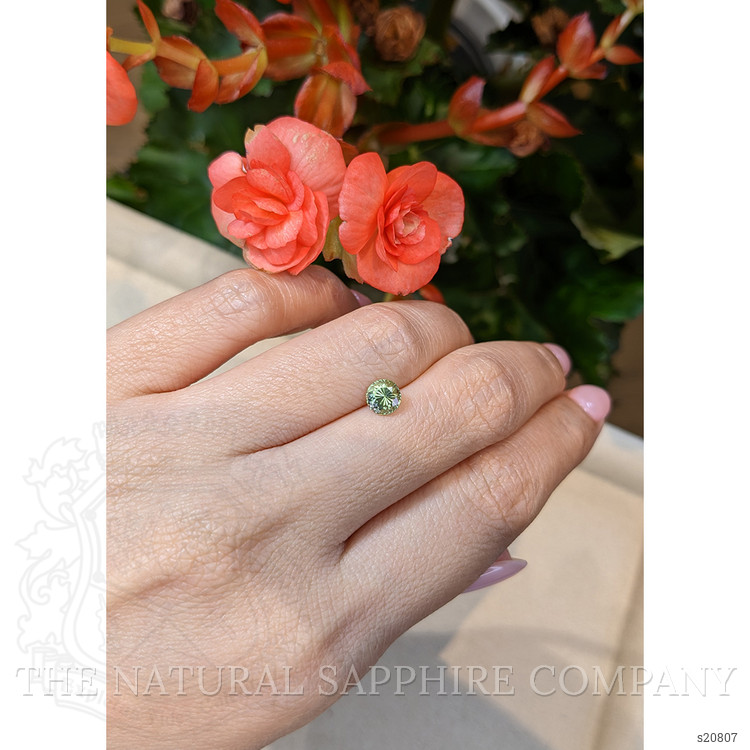 0.97 Ct. Yellowish Green Sapphire from Montana