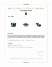 0.98 Ct. Greenish Blue Sapphire from Montana Appraisal
