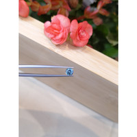 0.99 Ct. Purplish Blue Sapphire from Montana Life Style