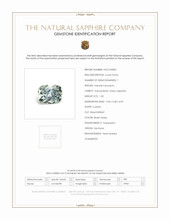 Jewelry Scan Report